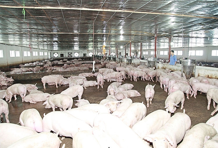 Đồng Hỷ Thái Nguyên Đổi mới bộ mặt nông thôn dong hy thai nguyen doi moi bo mat nong thon