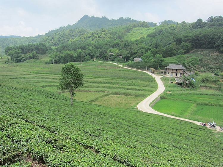 Đồng Hỷ Thái Nguyên Đổi mới bộ mặt nông thôn dong hy thai nguyen doi moi bo mat nong thon