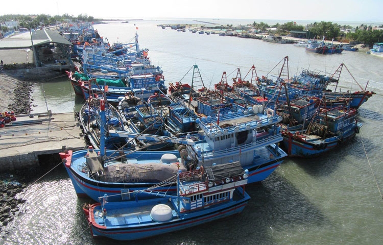 Tháo nút thắt để gỡ "thẻ vàng" IUU Tháo nút thắt để gỡ "thẻ vàng" IUU