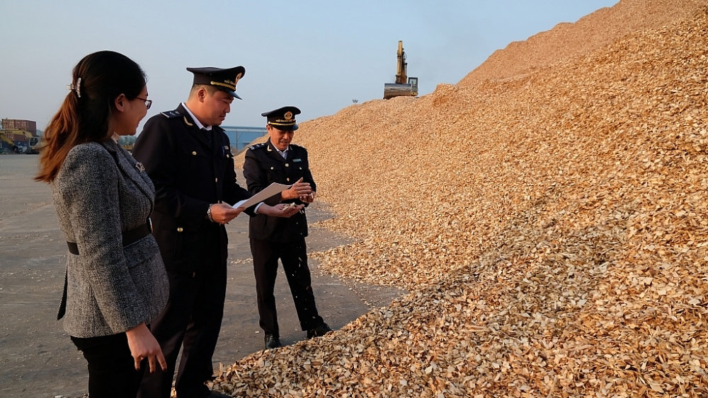 Công chức Chi cục Hải quan cửa khẩu cảng Nghi Sơn kiểm tra mặt hàng dăm gỗ xuất khẩu Ảnh: N.Linh