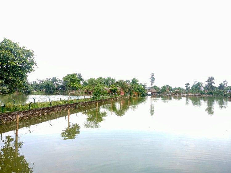 Tỉnh Thanh Hóa cần làm rõ trách nhiệm địa phương trước cái chết bé trai 4 tuổi tại trang trại hoạt động “chui” nhiều năm