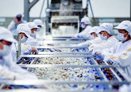 Áp dụng Quy tắc cụ thể mặt hàng (phiên bản HS 2017) thuộc Chương Quy tắc xuất xứ hàng hóa trong VKFTA từ 01/8/2022