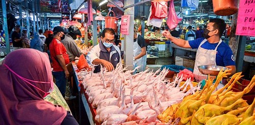 Chính phủ Malaysia nới lỏng lệnh cấm xuất khẩu thịt gà Chính phủ Malaysia nới lỏng lệnh cấm xuất khẩu thịt gà
