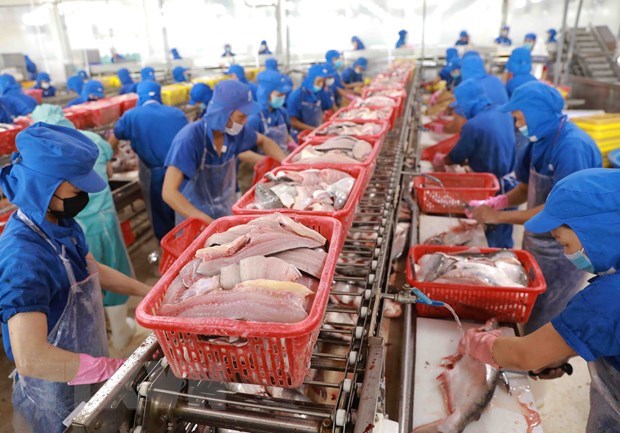 Doanh nghiệp thủy sản Việt Nam đón sóng tăng trưởng lớn hình ảnh 1 Doanh nghiep thuy san Viet Nam don song tang truong lon hinh anh 1