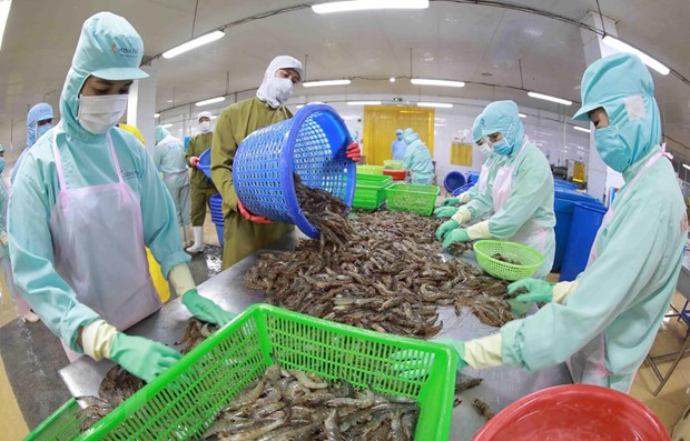 Doanh nghiệp thủy sản Việt Nam đón sóng tăng trưởng lớn hình ảnh 2 Doanh nghiep thuy san Viet Nam don song tang truong lon hinh anh 2
