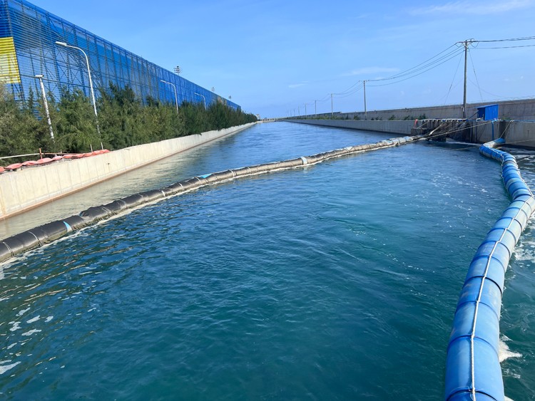 Nhiệt điện Vĩnh Tân 4: Nhà máy công viên giữa đồi núi chập chùng và biển cả mênh mông Nhiệt điện Vĩnh Tân 4: Nhà máy công viên giữa đồi núi chập chùng và biển cả mênh mông