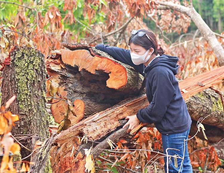 Ký ức khó quên (trùng tít) Ký ức khó quên (trùng tít)