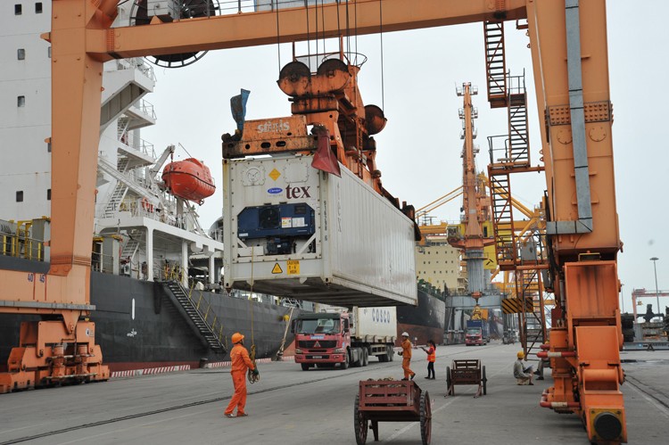 Vụ việc 100 container hạt điều suýt bị mất tại Italia: Bài học nào cho doanh nghiệp? Vụ việc 100 container hạt điều suýt bị mất tại Italia: Bài học nào cho doanh nghiệp?