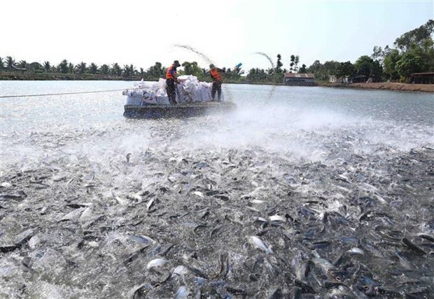 Ngành thủy sản có thể đạt kim ngạch xuất khẩu 10 tỷ USD nganh thuy san co the dat kim ngach xuat khau 10 ty usd