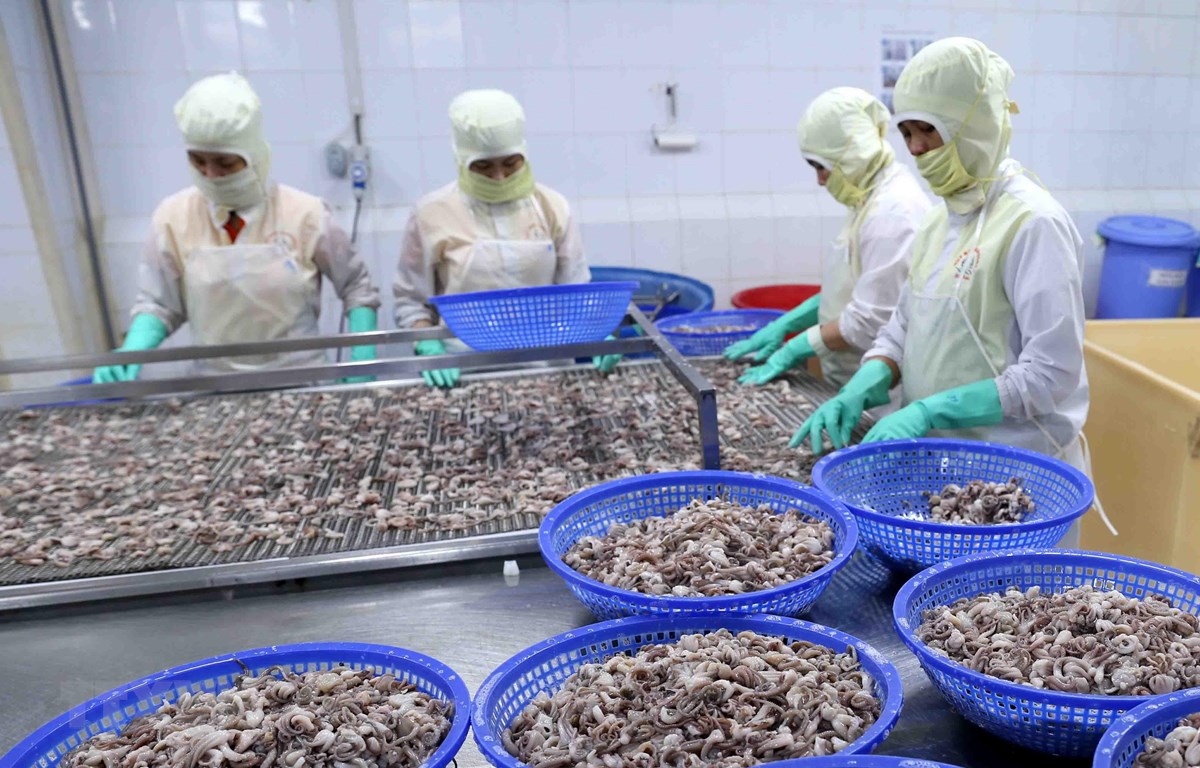 Ngành thủy sản có thể đạt kim ngạch xuất khẩu 10 tỷ USD nganh thuy san co the dat kim ngach xuat khau 10 ty usd