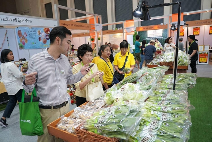 ASEAN thúc đẩy các tiêu chuẩn cho hàng hóa hữu cơ asean thuc day cac tieu chuan cho hang hoa huu co