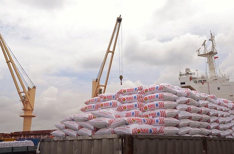 chon dung phan bon de canh tac hieu qua