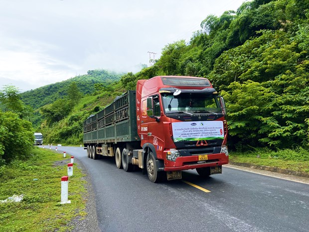 Vinamilk nhap 1.000 bo sua HF tu My ve to hop trang trai tai Lao hinh anh 6
