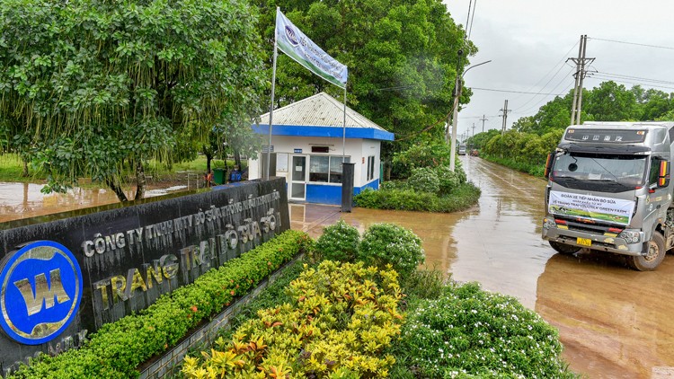 Vinamilk tiếp nhận thành công hơn 1.500 bò sữa nhập từ Mỹ về các trang trại Green Farm