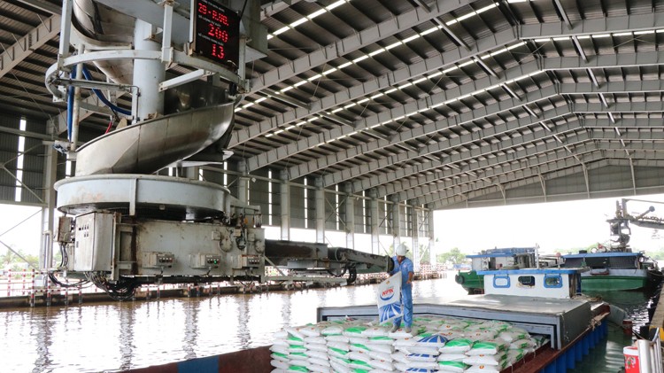 NPK Cà Mau cùng bà con nâng cao năng suất cây trồng