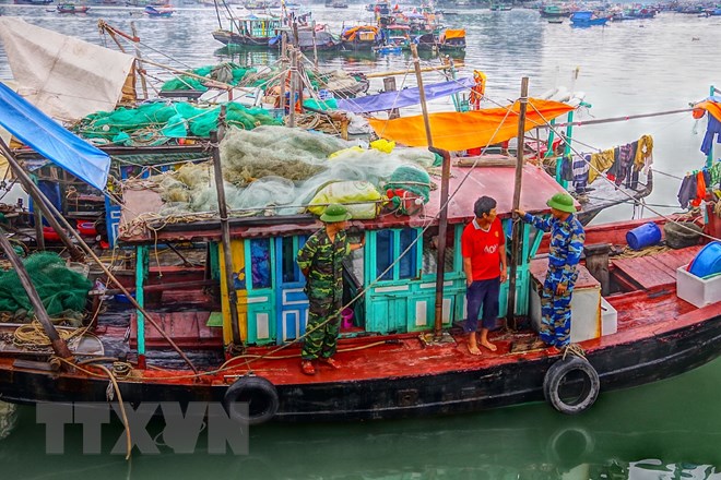 Quảng Ninh: Nhiều tàu khai thác thủy sản bằng phương pháp tận diệt quang ninh nhieu tau khai thac thuy san bang phuong phap tan diet