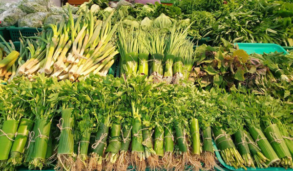 Doanh nghiệp bán lẻ chống rác thải nhựa: Nhìn từ thế giới đến Việt Nam doanh nghiep ban le chong rac thai nhua nhin tu the gioi den viet nam