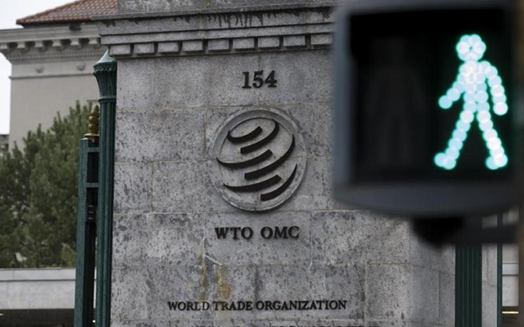 WTO: Chỉ số hàng hóa đạt mức cao kỷ lục khẳng định sức mạnh phục hồi thương mại