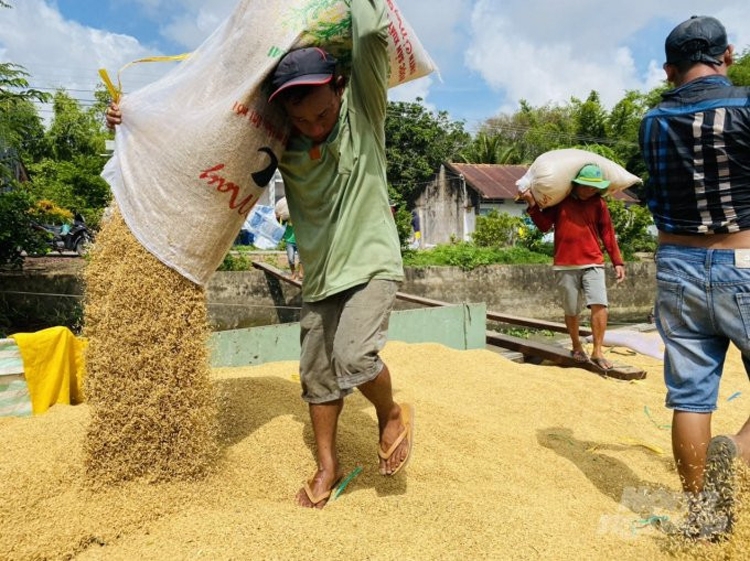 Bình ổn giá phân bón: Nên chăng giải quyết căn cơ vấn đề đầu ra nông sản? Bình ổn giá phân bón: Nên chăng giải quyết căn cơ vấn đề đầu ra nông sản?
