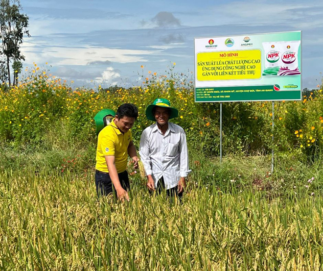 PVCFC lần thứ 2 đạt “Top 50 Công ty niêm yết tốt nhất” cùng kết quả kinh doanh 2 quý vượt trội - 2