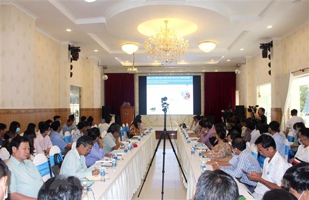 Xuất khẩu trái cây tươi vào Trung Quốc thích ứng với quy định mới hình ảnh 1 Xuat khau trai cay tuoi vao Trung Quoc thich ung voi quy dinh moi hinh anh 1