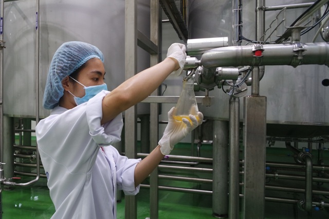 Nguồn lao động ở Việt Nam cần nâng cao trình độ hơn để thu hút dòng vốn ngoại hơn