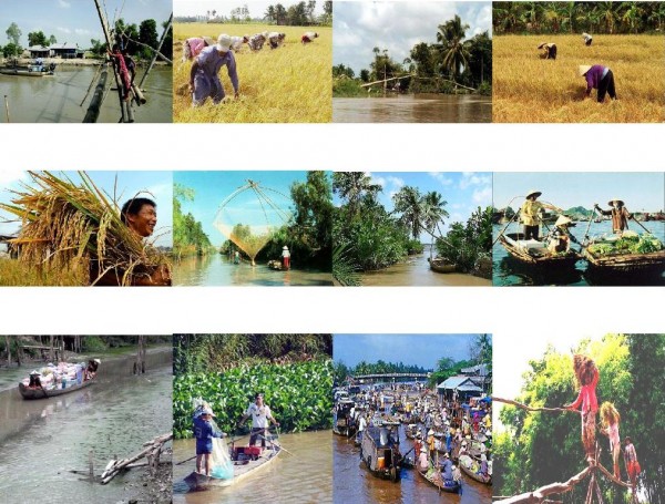 Thủ tướng chỉ thị đẩy mạnh phát triển bền vững ĐBSCL thích ứng với biến đổi khí hậu thu tuong chi thi day manh phat trien ben vung dbscl thich ung voi bien doi khi hau