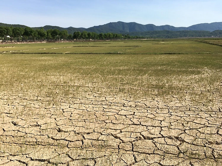 Bao giờ sửa quy định thuế GTGT về phân bón để nông dân và doanh nghiệp được nhờ? Bao giờ sửa quy định thuế GTGT về phân bón để nông dân và doanh nghiệp được nhờ?