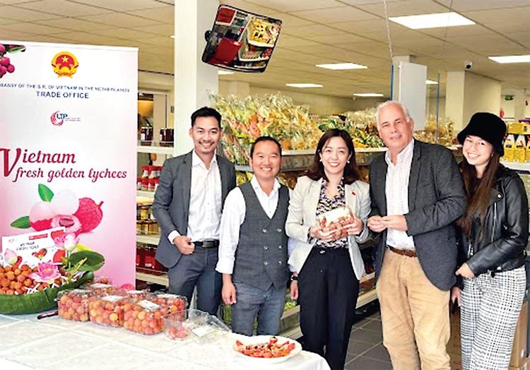 Quảng bá quả vải tươi Việt Nam tại Hà Lan