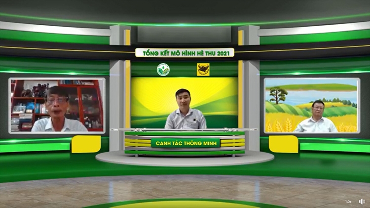 Canh tác lúa thông minh trên vùng đất phèn tại ĐBSCL: Hiệu quả từ cách làm… Canh tác lúa thông minh trên vùng đất phèn tại ĐBSCL: Hiệu quả từ cách làm…