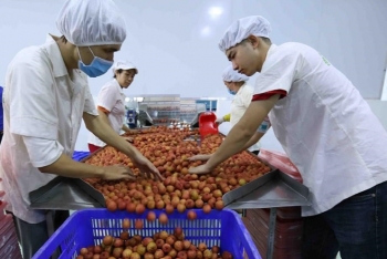 Bí quyết xuất khẩu trực tuyến thành công