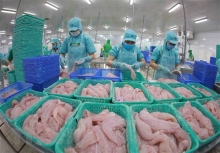 Nhiều doanh nghiệp xuất khẩu cá tra, basa không bị Mỹ áp thuế chống bán phá giá