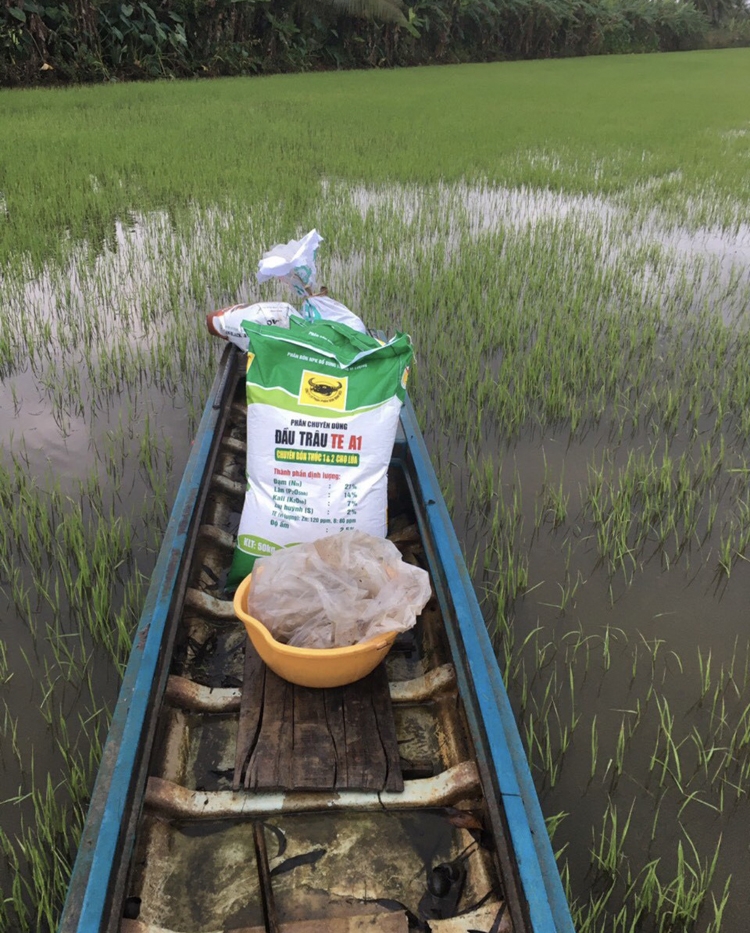 Tổng kết Chương trình Canh tác lúa thông minh vụ Hè Thu 2021 tại Đồng bằng Sông Cửu Long: Giải pháp giảm lượng giống gieo sạ Tổng kết Chương trình Canh tác lúa thông minh vụ Hè Thu 2021 tại Đồng bằng Sông Cửu Long: Giải pháp giảm lượng giống gieo sạ