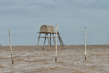 Hải Phòng giải quyết dứt điểm tranh chấp giữa ngư dân nuôi ngao và doanh nghiệp