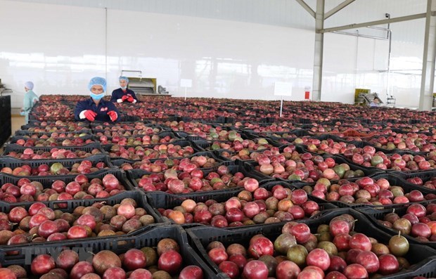 Kim ngạch thương mại hai chiều Việt Nam-Lào tiếp tục tăng hình ảnh 1 Kim ngach thuong mai hai chieu Viet Nam-Lao tiep tuc tang hinh anh 1