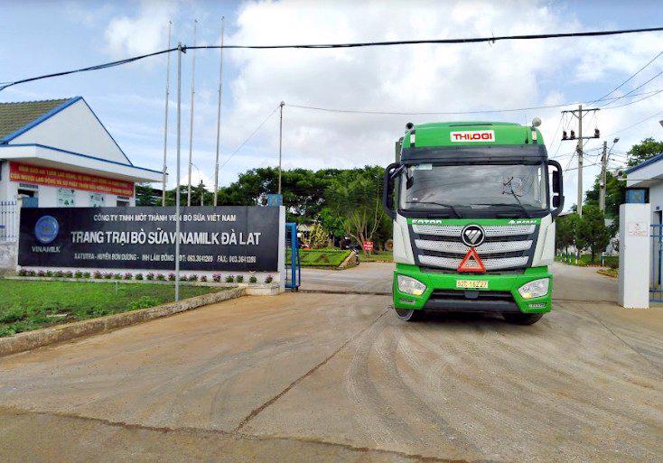 Vận chuyển b&ograve; giữa c&aacute;c trang trại tại Quảng Ng&atilde;i, B&igrave;nh Định, Đ&agrave; Lạt cho Vinamilk.