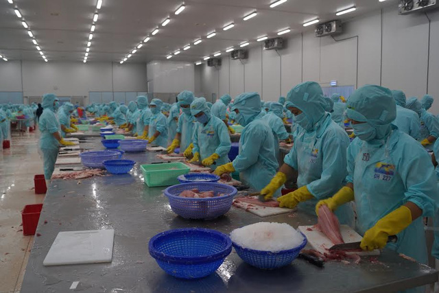 Nhu cầu nhập khẩu cá tra quý 4.2014 và quý 1.2017 dự báo sẽ tăng 20%