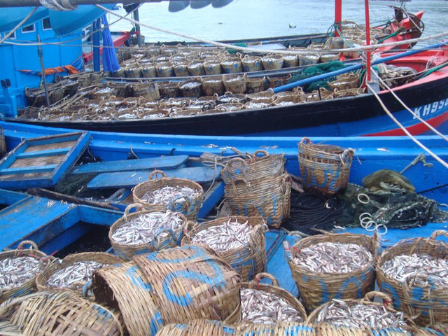 Dù là “quốc hồn, quốc túy” song công tác quy hoạch vùng sản xuất nước mắm vẫn chưa được các cơ quan ban ngành quan tâm đúng mức