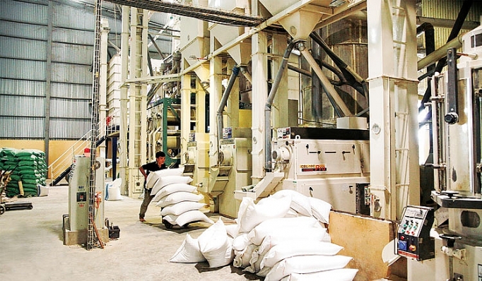 Tìm giải pháp tăng trưởng bền vững cho xuất khẩu gạo tim giai phap tang truong ben vung cho xuat khau gao