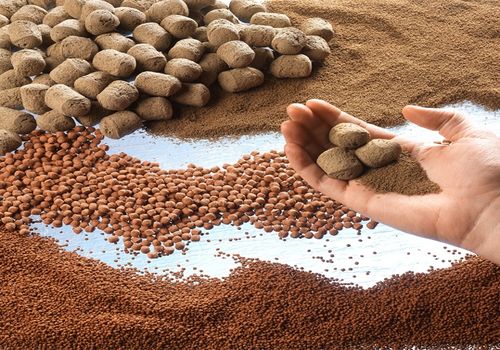 xu ly nghiem vi pham chat luong thuc an chan nuoi