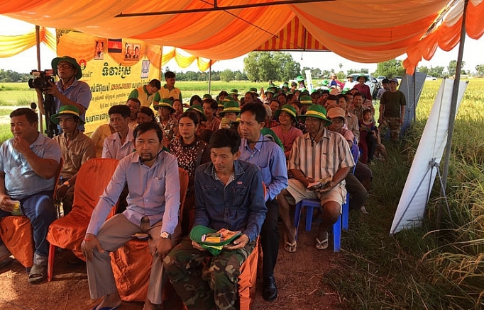 Đạm Cà Mau và vai trò quan trọng trọng đối với ngành nông nghiệp Campuchia dam ca mau va vai tro quan trong trong doi voi nganh nong nghiep campuchia