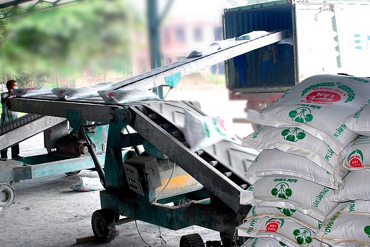 Áp thuế suất giá trị gia tăng 5%: Cả người dân, doanh nghiệp, xã hội đều hưởng lợi Áp thuế suất giá trị gia tăng 5%: Cả người dân, doanh nghiệp, xã hội đều hưởng lợi