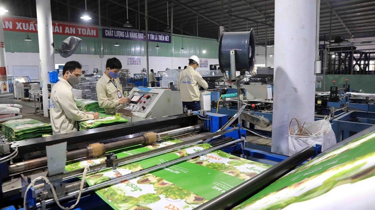 Ngành hàng bao bì: Đón cơ hội bứt tốc Ngành hàng bao bì: Đón cơ hội bứt tốc