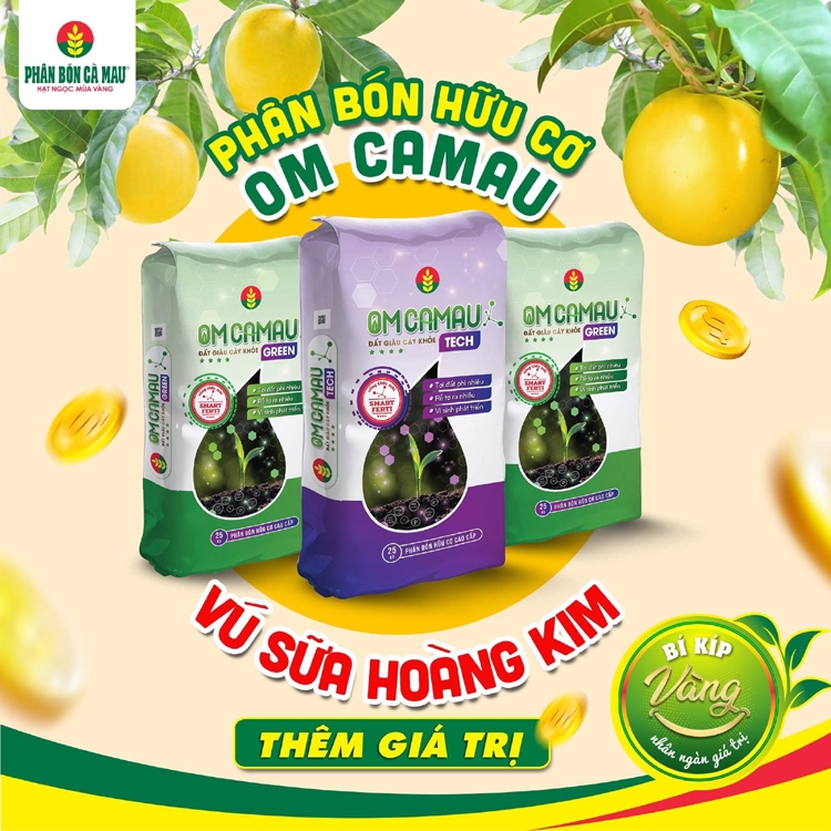 Phân Bón Cà Mau hỗ trợ bà con sử dụng OM CAMAU