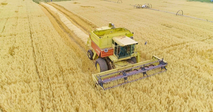 Dòng sản phẩm Nutrilite Protein đạt danh hiệu bán chạy số 1 thế giới Dòng sản phẩm Nutrilite Protein đạt danh hiệu bán chạy số 1 thế giới