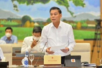 Hải Phòng: Đề xuất phát triển khu thương mại tự do