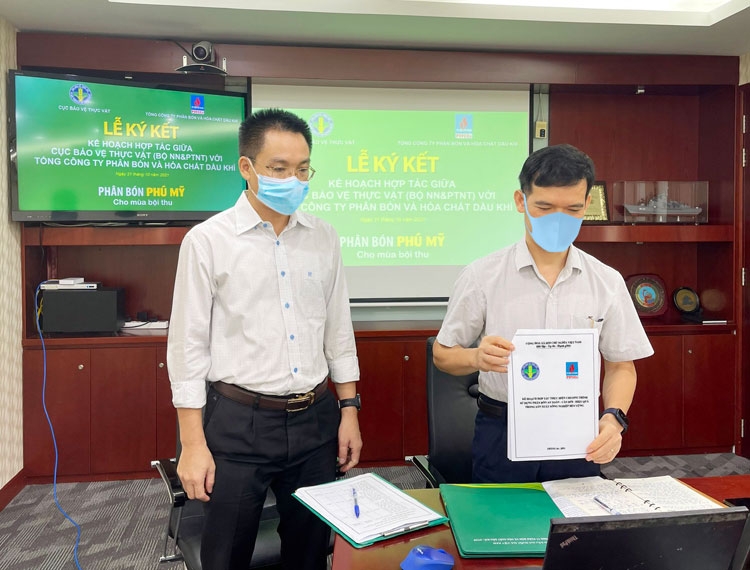 PVFCCo tích cực hợp tác triển khai chương trình sử dụng phân bón an toàn, cân đối, hiệu quả