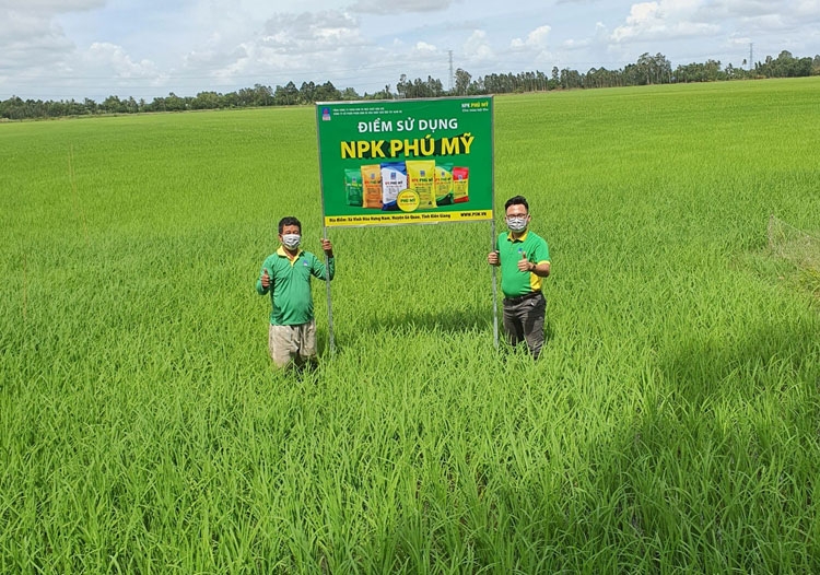 PVFCCo tích cực hợp tác triển khai chương trình sử dụng phân bón an toàn, cân đối, hiệu quả