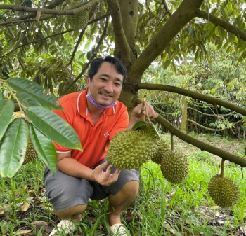 Giá trái cây nghịch vụ ĐBSCL khởi sắc