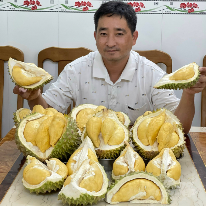 watermark_giong-sau-rieng-com-vang-luon-giu-gia-ban-cao-anh-mk-1608_20211020_34.jpg Giống sầu riêng cho cơm vàng luôn giữ giá bán cao. Ảnh: MK